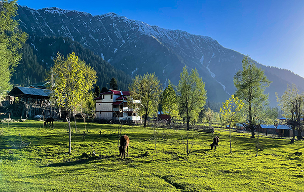 Kasol